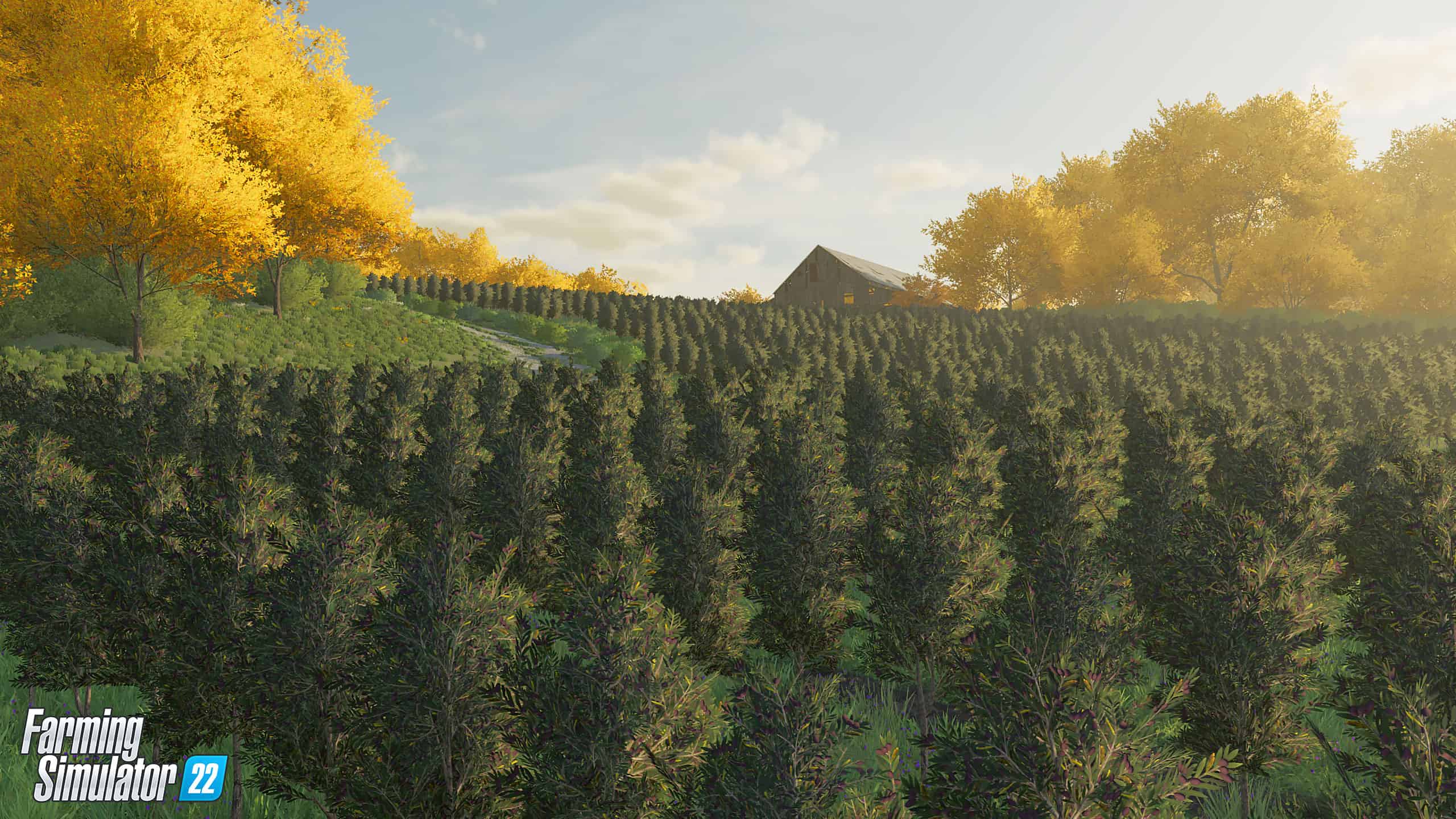 Farming Simulator 22: Pierwsze spojrzenie na nowe uprawy 